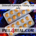 Sildenafil Kamagra 100Mg Oral Jelly levitra2